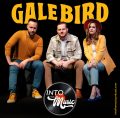 S5, E02: GALE BIRD
